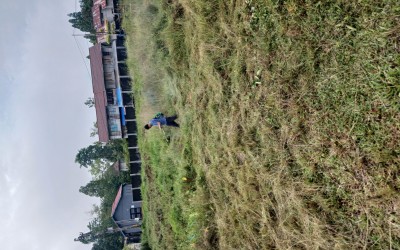 KEGIATAN JUM'AT BERSIH STKIP MELAWI DUKUNG PROGRAM PEMERINTAH